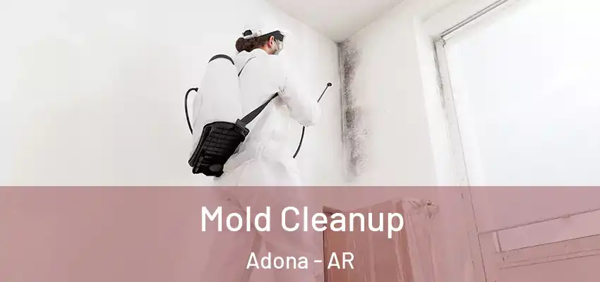  Mold Cleanup Adona - AR