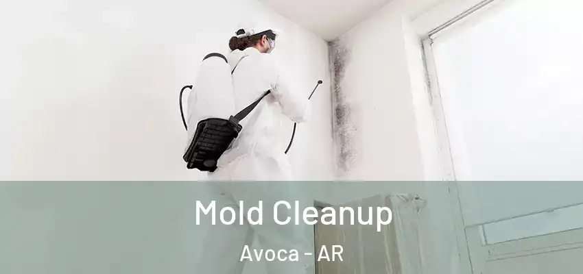 Mold Cleanup Avoca - AR