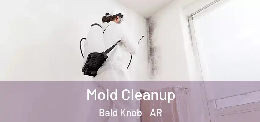 Mold Cleanup Bald Knob - AR