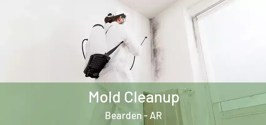  Mold Cleanup Bearden - AR