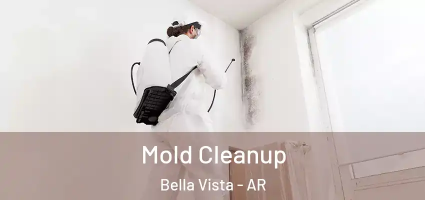  Mold Cleanup Bella Vista - AR