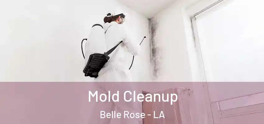  Mold Cleanup Belle Rose - LA