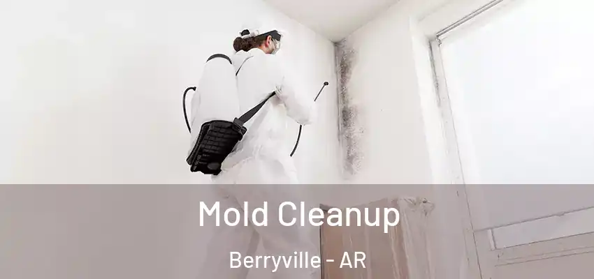  Mold Cleanup Berryville - AR