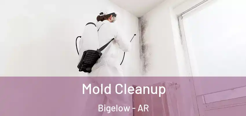  Mold Cleanup Bigelow - AR