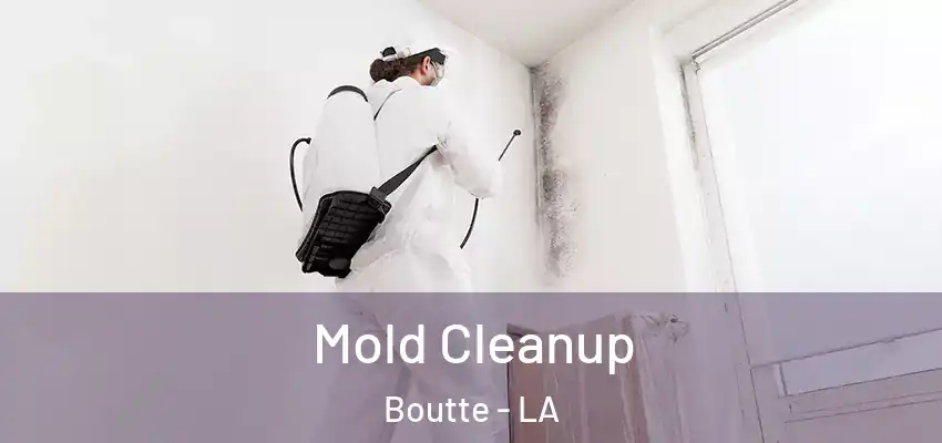  Mold Cleanup Boutte - LA