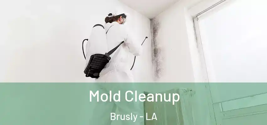  Mold Cleanup Brusly - LA