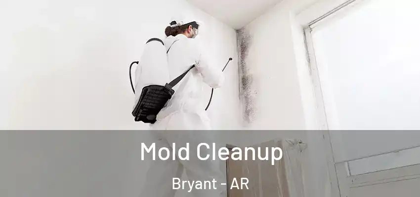  Mold Cleanup Bryant - AR