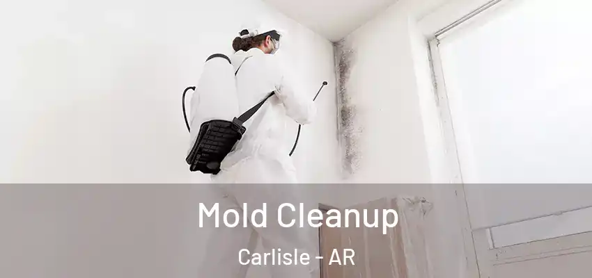  Mold Cleanup Carlisle - AR
