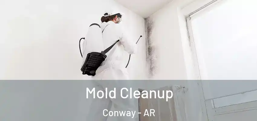  Mold Cleanup Conway - AR
