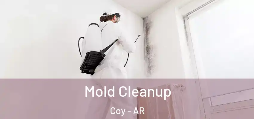  Mold Cleanup Coy - AR