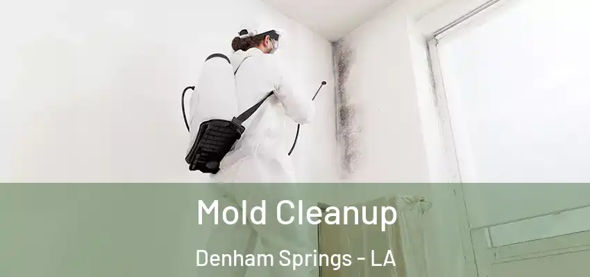  Mold Cleanup Denham Springs - LA