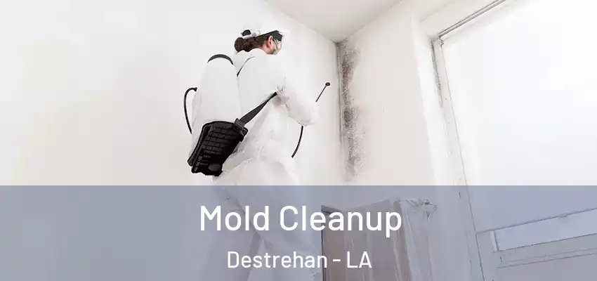  Mold Cleanup Destrehan - LA