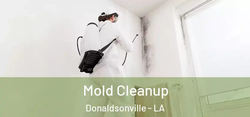  Mold Cleanup Donaldsonville - LA