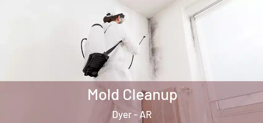 Mold Cleanup Dyer - AR