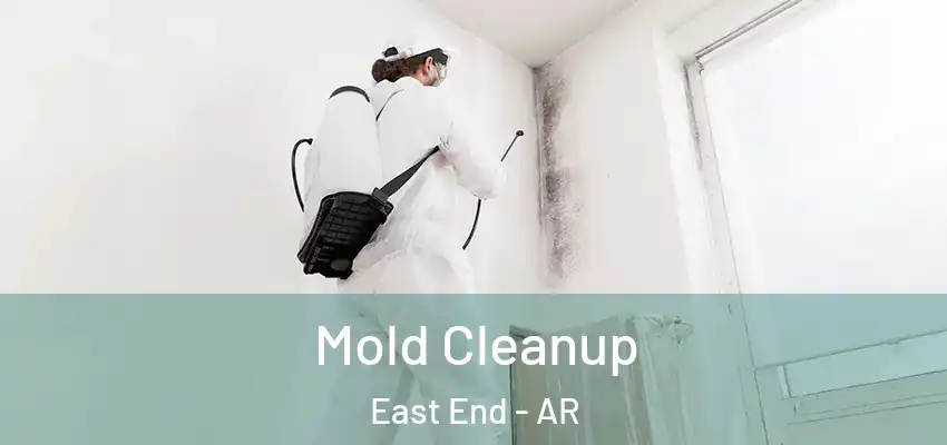  Mold Cleanup East End - AR