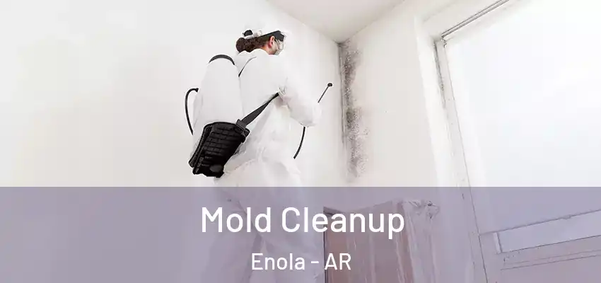  Mold Cleanup Enola - AR