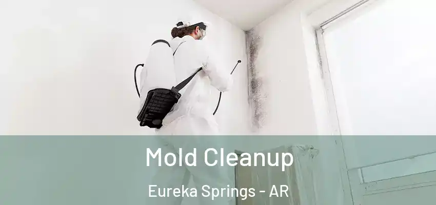 Mold Cleanup Eureka Springs - AR