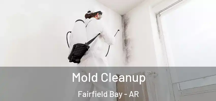  Mold Cleanup Fairfield Bay - AR