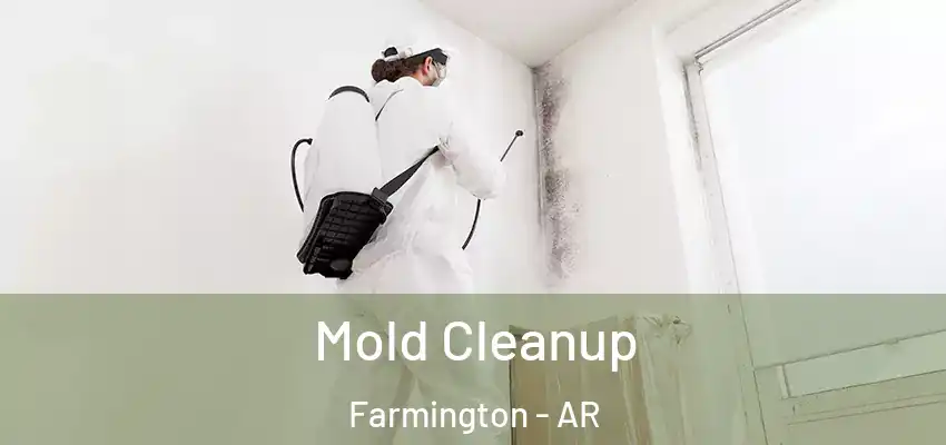  Mold Cleanup Farmington - AR