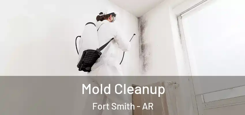  Mold Cleanup Fort Smith - AR