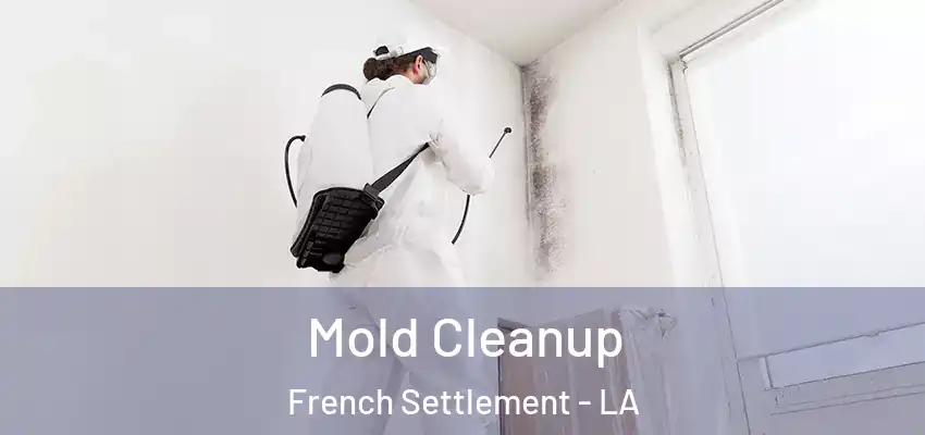  Mold Cleanup French Settlement - LA