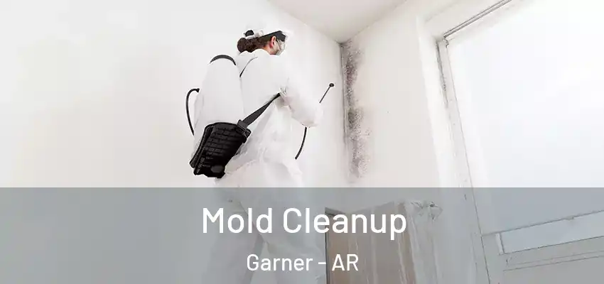 Mold Cleanup Garner - AR