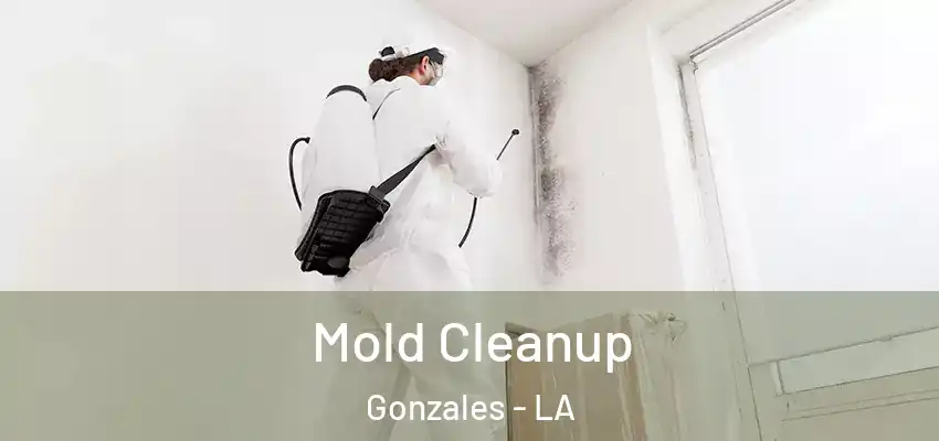  Mold Cleanup Gonzales - LA