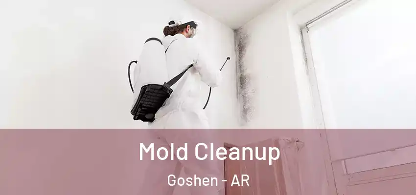 Mold Cleanup Goshen - AR