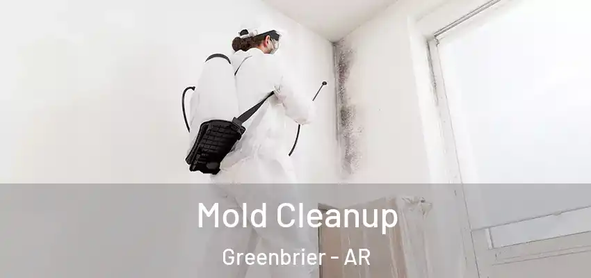  Mold Cleanup Greenbrier - AR
