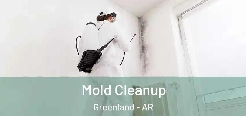 Mold Cleanup Greenland - AR