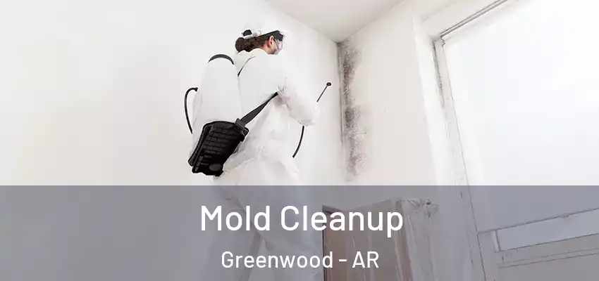  Mold Cleanup Greenwood - AR