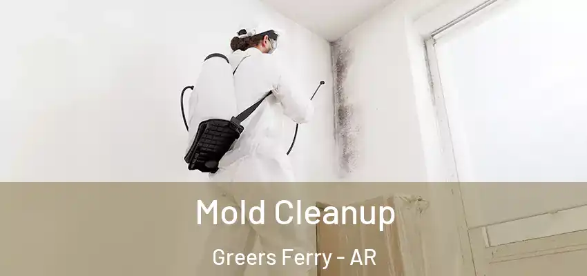  Mold Cleanup Greers Ferry - AR