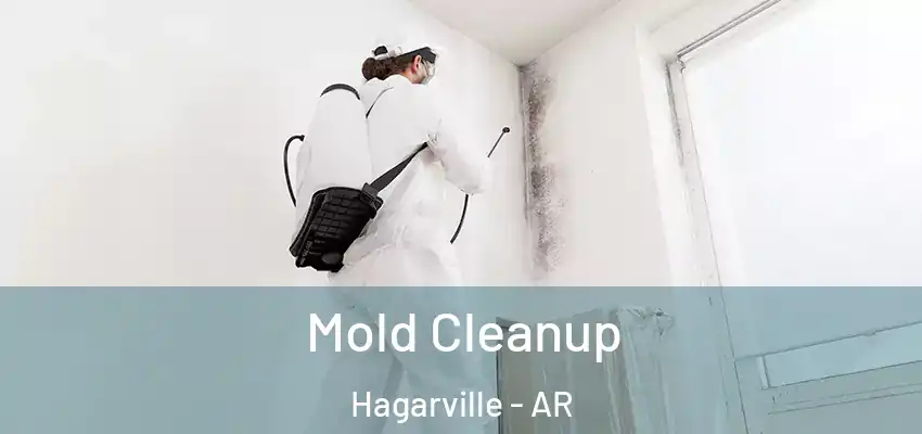  Mold Cleanup Hagarville - AR