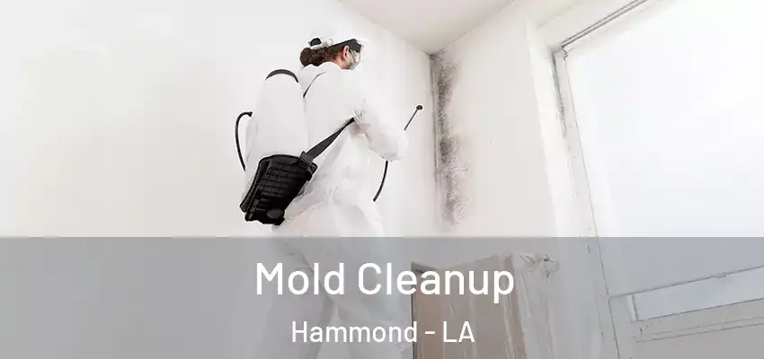  Mold Cleanup Hammond - LA