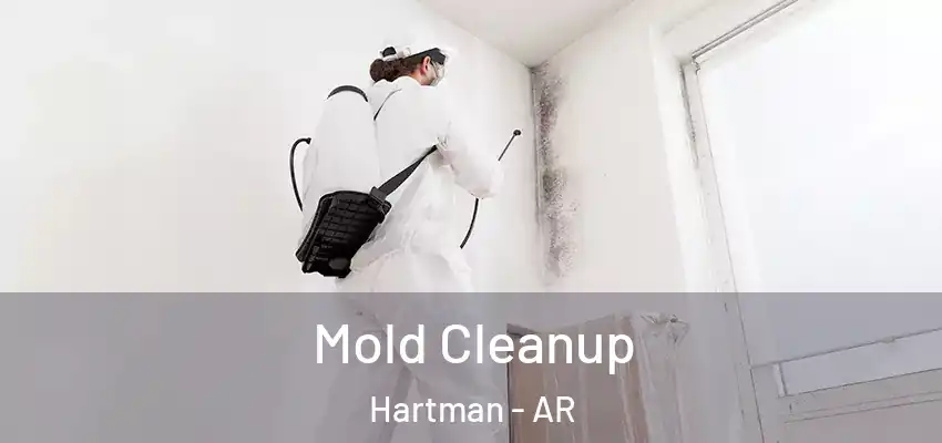  Mold Cleanup Hartman - AR