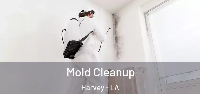  Mold Cleanup Harvey - LA