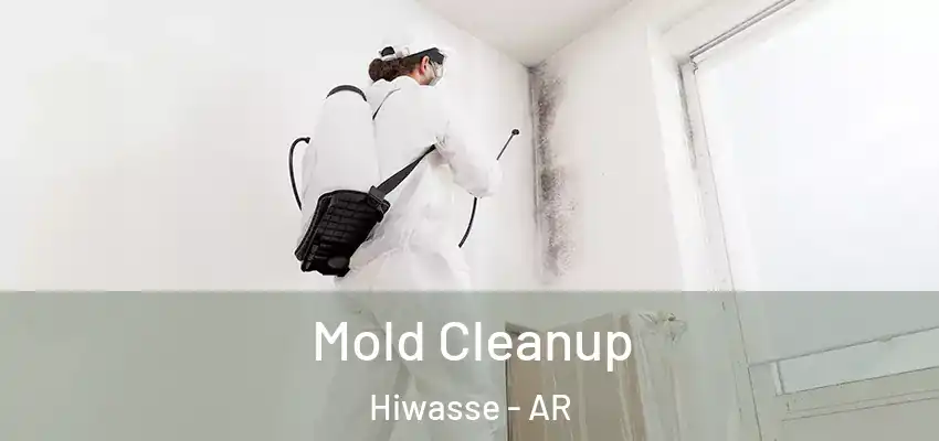 Mold Cleanup Hiwasse - AR