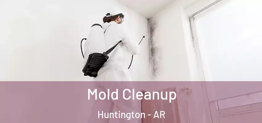  Mold Cleanup Huntington - AR