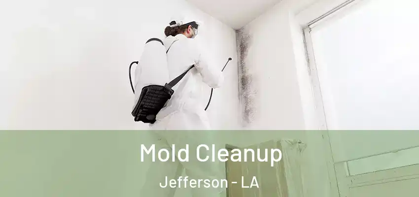  Mold Cleanup Jefferson - LA