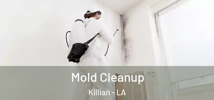 Mold Cleanup Killian - LA