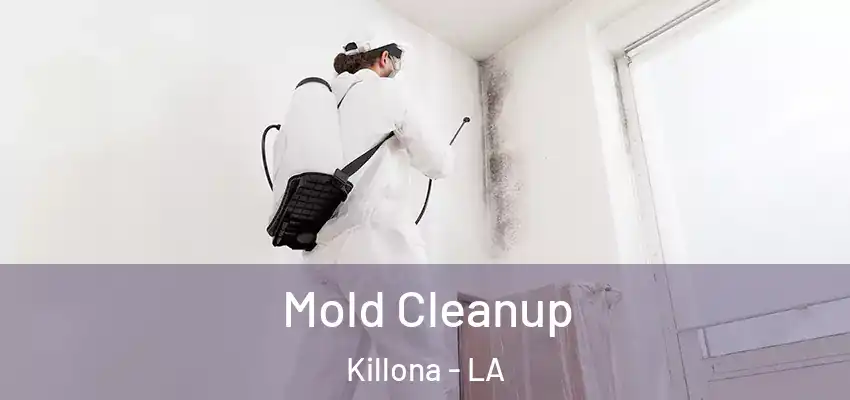 Mold Cleanup Killona - LA