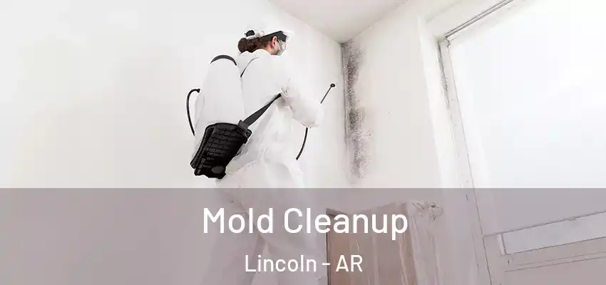 Mold Cleanup Lincoln - AR