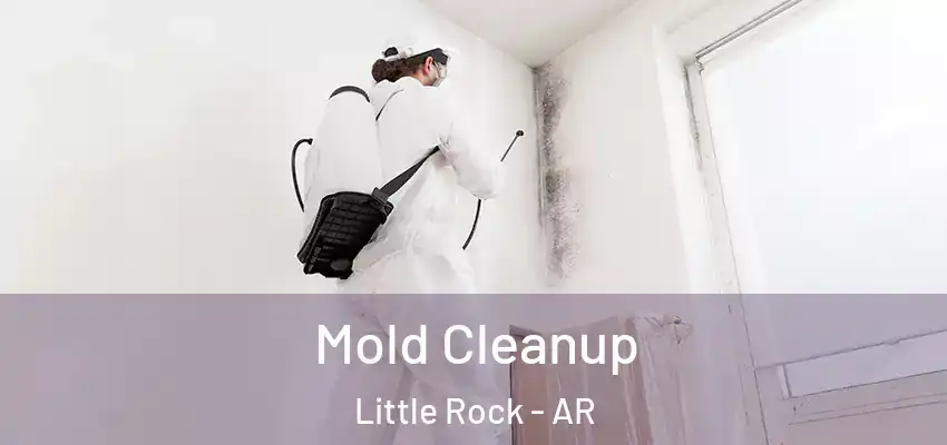  Mold Cleanup Little Rock - AR