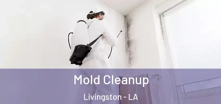  Mold Cleanup Livingston - LA