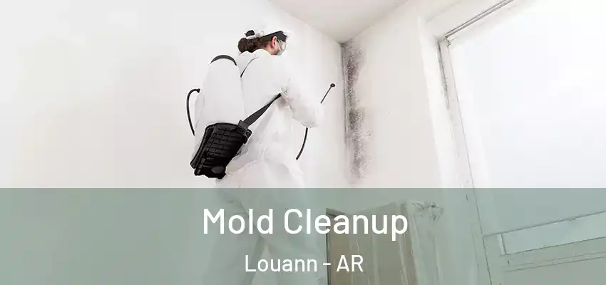  Mold Cleanup Louann - AR