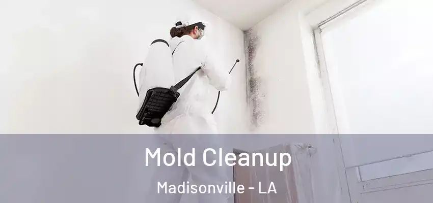  Mold Cleanup Madisonville - LA