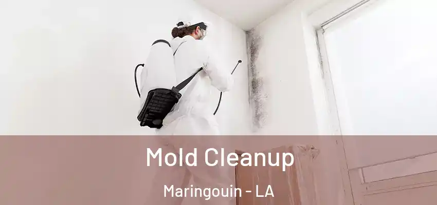  Mold Cleanup Maringouin - LA