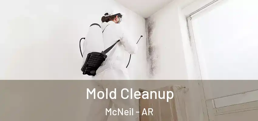  Mold Cleanup McNeil - AR