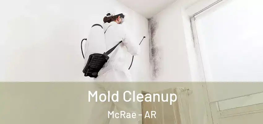 Mold Cleanup McRae - AR