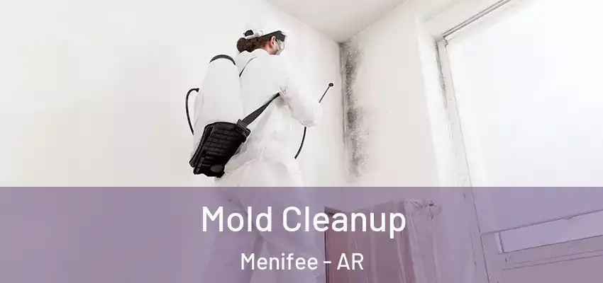  Mold Cleanup Menifee - AR